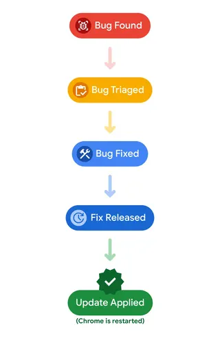 Steps of the vulnerability management process
