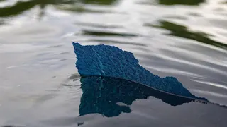 A piece of the new blue paint with a ragged edge, is seen above the water