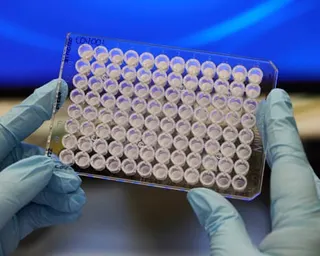 Gloved hands hold a clear laboratory plate filled with rows of small sample tubes