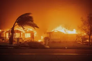 houses burning in front of a tree