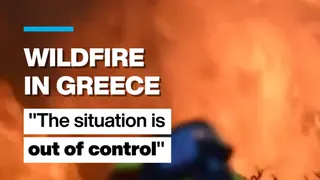 "The situation is out of control" : Greek firefighters battle wildfire for fourth day