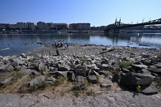 A group of people stands by the water’s edge of the Danube