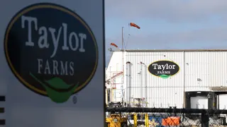 Large circular Taylor Farms sign dominates the left foreground; behind it, a white warehouse shows an oval Taylor Farms sign with orange windsocks on tall masts behind a chain-link fence.