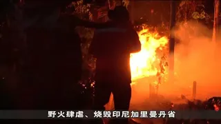 跨境烟霾问题加剧 马国十地区空气达不健康水平