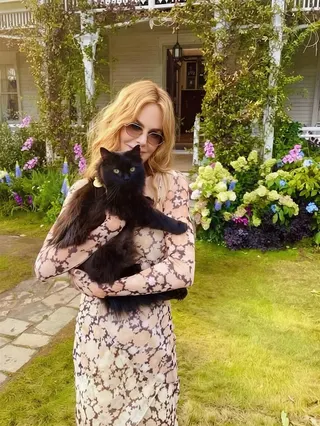 妮可基嫚首度公開離婚心境。（圖／翻攝自IG @nicolekidman）
