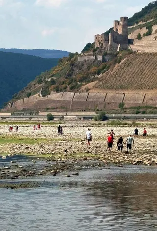 德國遭遇熱浪侵襲長期乾旱，賓根（Bingen）附近的萊茵河露出河床。（路透）
