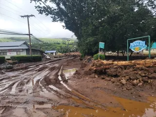 A wet, brown, muddy, rutted road alongside trees, telephone lines, and a buidling.
