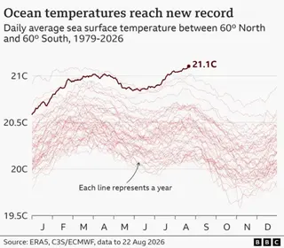 Graph showing global average sea surface temperatures for each day of the year. Each year since 1979 is shown as an individual light red line, running from 1 January to 31 December. Each line tends to peak in March or April, with a lower secondary peak in August. The line for 2026 is shown in dark red and has kept climbing since June and now stands at 21.1C.