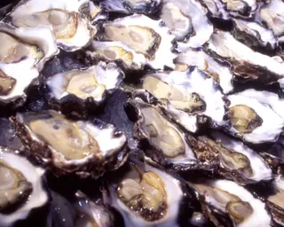 Sydney rock oysters, prized for their flavour and rarity, have been targeted by thieves, with one NSW farm losing 400,000 oysters in a single robbery.