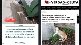 The image at left, posted on Instagram on August 19, 2026, by the Spanish site La Gaceta claims that the photo of a dead kitten next to a dumpster was taken in Ceuta. The image on the right shows the