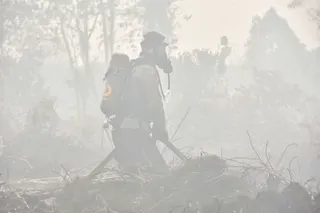 Firefighters extinguish a peatland fire at Tambang in Indonesia’s Riau province on Tuesday. Photo: Wahyudi/AFP