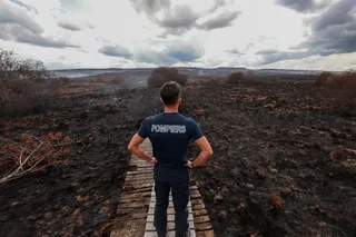 A firefighter stands amid burnt soil and vegetation during a guided visit to the site of wildfires in the Hautes Fagnes (High Fens) nature reserve near Sourbrodt, eastern Belgium, on August 21, 2026. — AFP pic