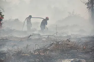 A peatland firefighting task force extinguishes a fire in the Tambang area of Kampar, in Riau province, Indonesia on Thursday. Photo: AFP