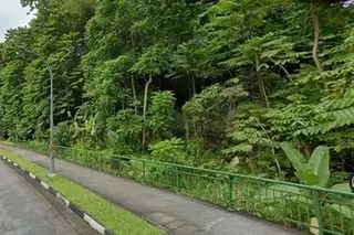 The Johor royal family has owned land in an area known as Tyersall Park for more than a century.