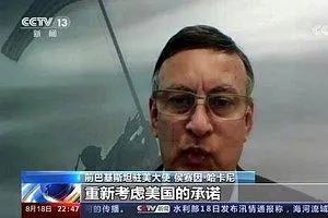 巴基斯坦前駐美大使侯賽因·哈卡尼。圖為他2021年接受央視節目連線時畫面。（視頻截圖）